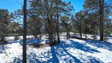 Kari L Girard, Ponderosa Real Estate The Source For Real Estate - photo 27