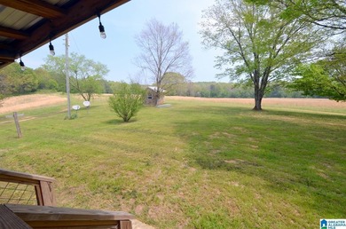 WELCOME TO WILSONVILLE- Just a short boat ride to LAY LAKE from - photo 29