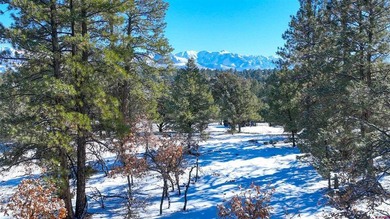 Kari L Girard, Ponderosa Real Estate The Source For Real Estate - photo 29