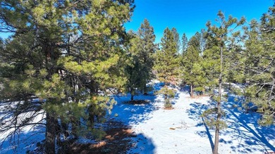 Kari L Girard, Ponderosa Real Estate The Source For Real Estate - photo 31