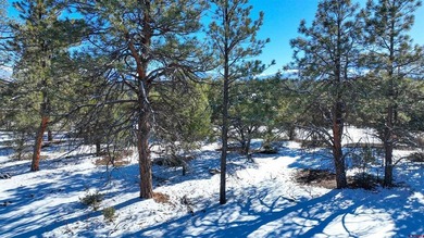 Kari L Girard, Ponderosa Real Estate The Source For Real Estate - photo 32