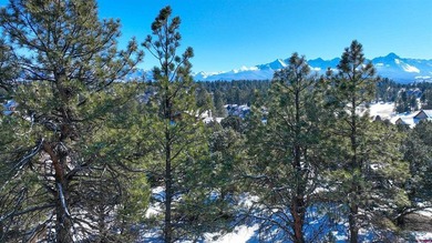 Kari L Girard, Ponderosa Real Estate The Source For Real Estate - photo 36