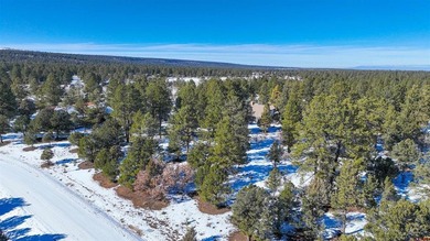Kari L Girard, Ponderosa Real Estate The Source For Real Estate - photo 38