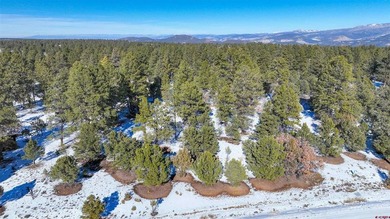 Kari L Girard, Ponderosa Real Estate The Source For Real Estate - photo 39