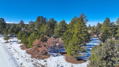 Kari L Girard, Ponderosa Real Estate The Source For Real Estate - photo 40