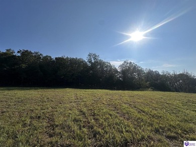 Lake Lot For Sale in Clarkson, Kentucky