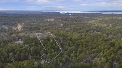 Lake Lot For Sale in Brookeland, Texas