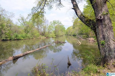 WELCOME TO WILSONVILLE- Just a short boat ride to LAY LAKE from - photo 60