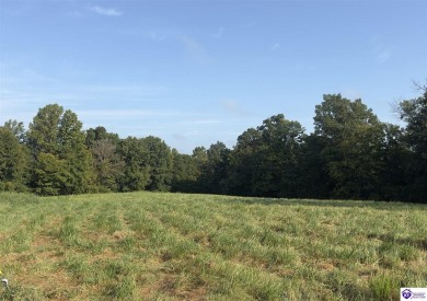 Lake Lot For Sale in Clarkson, Kentucky