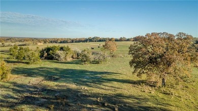 (private lake, pond, creek) Acreage For Sale in Brenham Texas