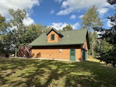 Boot Lake Home For Sale in Park Rapids Minnesota