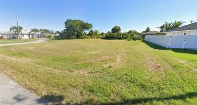 Build your dream home on this oversized, navigable waterfront - photo 3