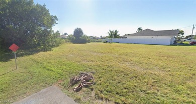 Build your dream home on this oversized, navigable waterfront - photo 4