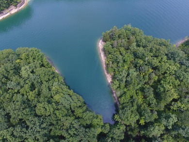 2 acre Lake Cumberland LAKE VIEW Building Lot - photo 5