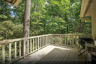 Nestled within the peaceful Chestnut Ridge community of Sapphire - photo 5