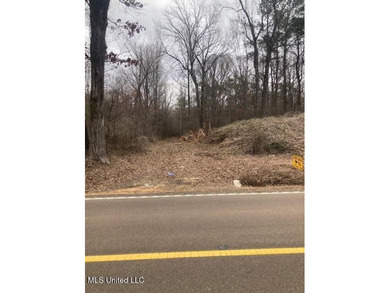 (private lake, pond, creek) Acreage For Sale in Holly Springs Mississippi