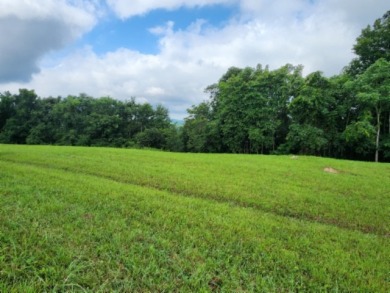 0.66 AC W/ A YEAR AROUND DALE HOLLOW LAKE - photo 5