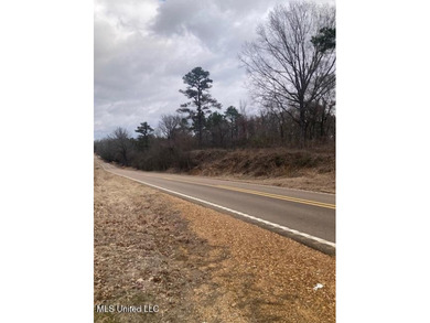 VACANT LAND, GOOD BUILDING SITE OR RECREATIONAL/HUNTING LAND - photo 2