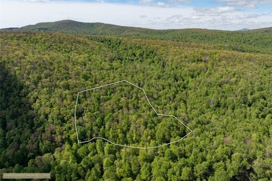 Saddle Camp is a private 10.48-acre mountain retreat within the - photo 3