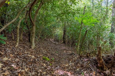 Saddle Camp is a private 10.48-acre mountain retreat within the - photo 4