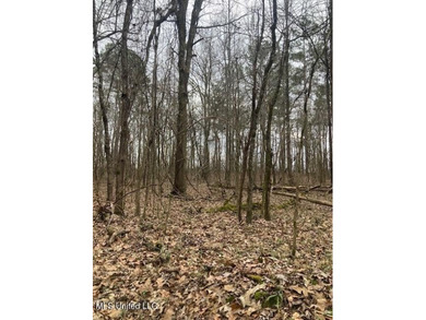 VACANT LAND, GOOD BUILDING SITE OR RECREATIONAL/HUNTING LAND - photo 4