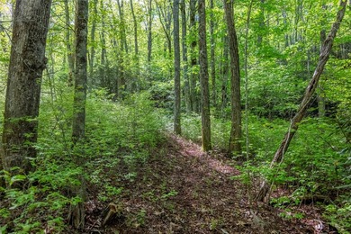 Saddle Camp is a private 10.48-acre mountain retreat within the - photo 5