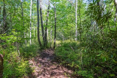 Saddle Camp is a private 10.48-acre mountain retreat within the - photo 6