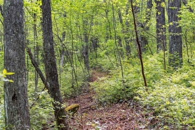 Saddle Camp is a private 10.48-acre mountain retreat within the - photo 7