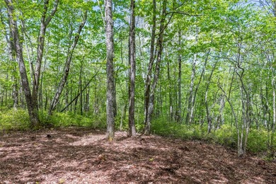 Saddle Camp is a private 10.48-acre mountain retreat within the - photo 8