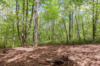 Saddle Camp is a private 10.48-acre mountain retreat within the - photo 9