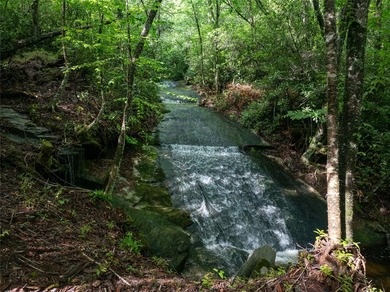 River Camp is a remarkably rare 10.65-acre mountain property - photo 1