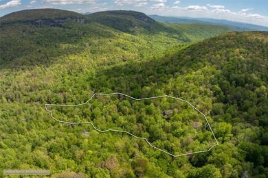 River Camp is a remarkably rare 10.65-acre mountain property - photo 2