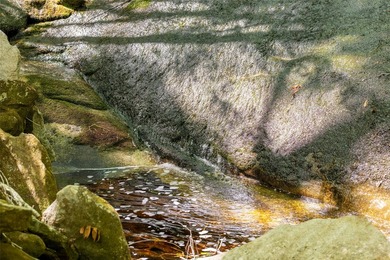 River Camp is a remarkably rare 10.65-acre mountain property - photo 5