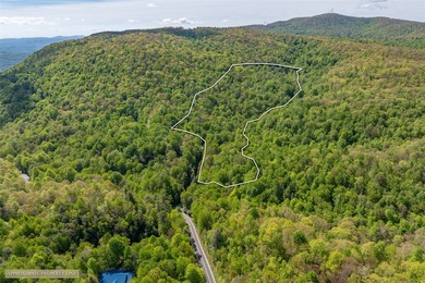 River Camp is a remarkably rare 10.65-acre mountain property - photo 6