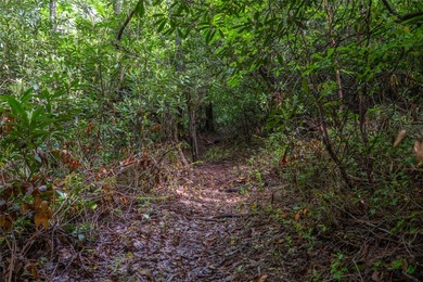 River Camp is a remarkably rare 10.65-acre mountain property - photo 7