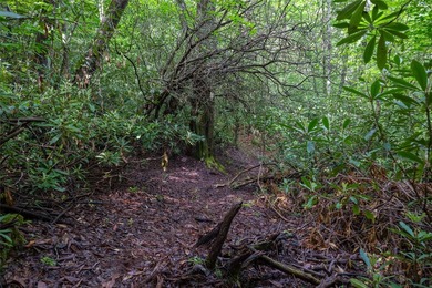 River Camp is a remarkably rare 10.65-acre mountain property - photo 8