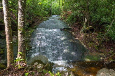 River Camp is a remarkably rare 10.65-acre mountain property - photo 9