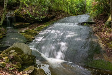 River Camp is a remarkably rare 10.65-acre mountain property - photo 10