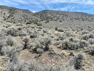 Rye Patch Reservoir Acreage For Sale in Lovelock Nevada