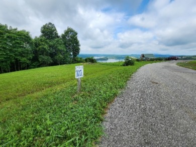 0.66 AC W/ A YEAR AROUND DALE HOLLOW LAKE - photo 4