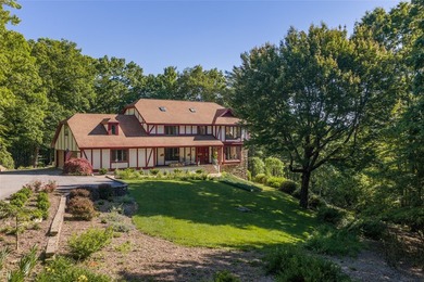 This rare Tudor-style home sits on over 2 acres in a wonderfully - photo 9