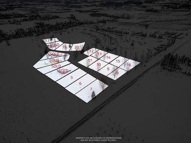 (private lake, pond, creek) Lot For Sale in Hart Michigan