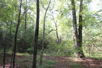 UNRESTRICTED, 2 ACRES near beautiful Lake Sam Rayburn. Property - Lake Acreage For Sale in Brookeland, Texas