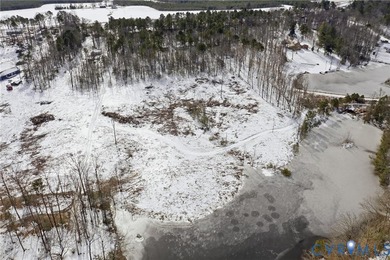 Enjoy peaceful waterfront living on this 2-acre lot in Dinwiddie - photo 8