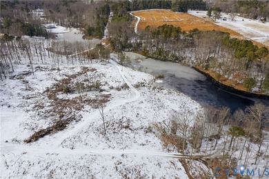Enjoy peaceful waterfront living on this 2-acre lot in Dinwiddie - photo 10