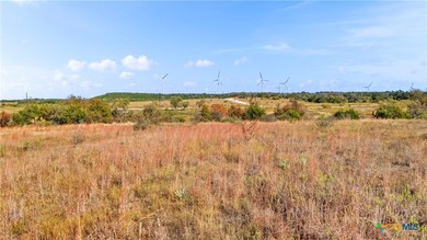 Welcome to your Texas Hill Country paradise! This exceptional 14 - photo 11