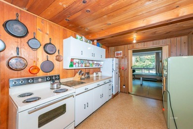 Step back in time with this classic 1940s vintage cabin - photo 14