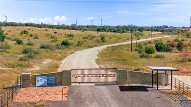 Welcome to your Texas Hill Country paradise! This exceptional 14 - photo 17