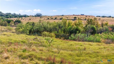 Welcome to your Texas Hill Country paradise! This exceptional 14 - photo 19