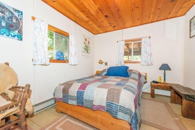 Step back in time with this classic 1940s vintage cabin - photo 19